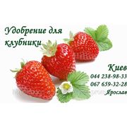 Удобрение для клубники купить Киев