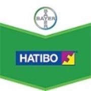 Фунгіцид Натіво фото