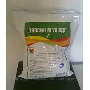 Топсин м(тиофанат-метил (700 г/кг препарата).) фото