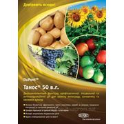 Танос 50 - фунгицид на подсолнечник, томаты, картофель, виноградники (Dupont) фотография