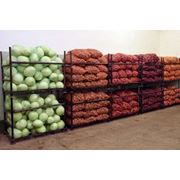 камеры хранения овощей