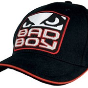 Бейсболка Bad Boy Team Logo