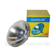 Лампа Omnilyx Par 64 фото