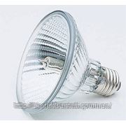 Галогенные лампы, КГ 220-5000, JliHiPiHi фото