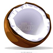 Рафинированное кокосовое масло фото