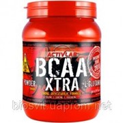 BCAA XTRA+L-Glutamine 500 g.