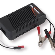 Зарядное Ansmann для автомобильного аккумулятора (5207232) фото