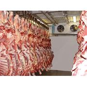 холодильные камеры для мясо фотография