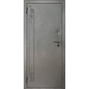 Дверь входная ТС 001.1 метал фото