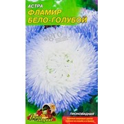 Цветы Астра Фламир бело-голубой (0.5г) фотография