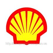 Shell Irus Fluid DU 68 фото