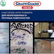 Средство удаления граффити GraffiGuard 2030 фото