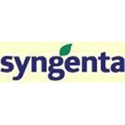 Средства защиты растений в мелкой расфасовке от Syngenta (Сингента)