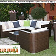 Мебель плетеная из ротанга, комплект Венеция - 9 модулей -помодульно продаётся - мебель для сада, дома, гостиницы фото
