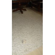 Carpet cleaning фотография