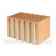 Керамические блоки Keraterm 51RU (250*510*238) фото