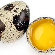 Перепелиные пищевые яйца.