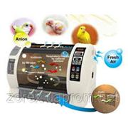 Брудер фото