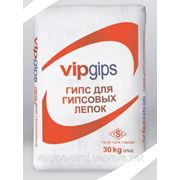 Гипс для гипсовых лепок “VipGips“ фото