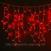 СВЕТОДИОДНАЯ ГИРЛЯНДА “БАХРОМА 3*0.5м“, ПВХ кабель, цвет красный фото