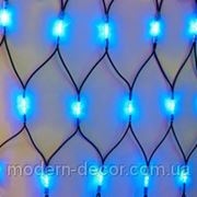 Ламповая сетка NET LIGHT 2,2х1,2 (Синий) фото