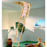 Чердачные лестницы Dolle - Модель MINI фото