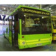 Междугородный автобус БАЗ А148.1 (Эталон) фото