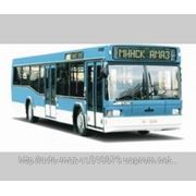 Автобус МАЗ -103562