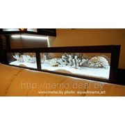 Сухой аквариум в полу, барной стойке фото
