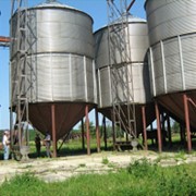 Бункеры хранения зерновых PETKUS фото
