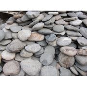 Галька речная плоская фото