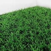 Коврик из травы комбинированный фото