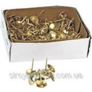 Гвозди декоративные китай золото по 1000шт фото