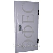 Дверь ППС-100 (пенополистирол) фото