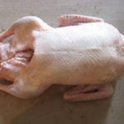Мясо утки фото