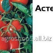 Семена томата-сливка детерминантного (кустового) среднеспелого Астерикс F1 - 2500 семян. Сингента. . фото