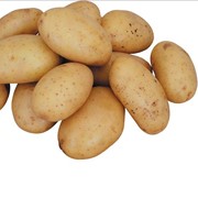 Картофель свежий