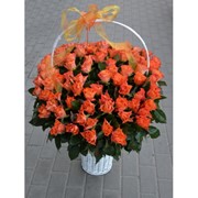 Цветочные корзины Арт. 175 продажа поставка доставка Киев