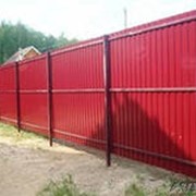 Заборный профнастил фото