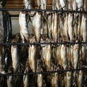 Оптовая продажа вяленой рыбы по приемлимым ценам