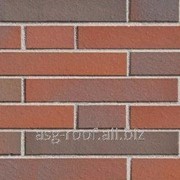 Плитка для фасадов 2102-L Altona rot-bunt фото