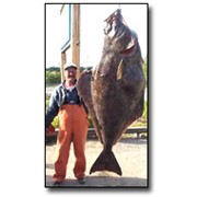 Рыба и морепродукты из экологических районов Аляски фото