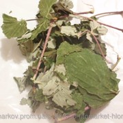 Малина обыкновенная (Rubi idaei folium) листья 100 грамм фото
