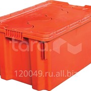 Пластиковый ящик с крышкой 600x400x300 Арт.601-1 фото