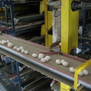 Производство яиц(купить оптом Ровно) фото