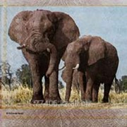 Салфетка для декупажа Слоны-2 фото