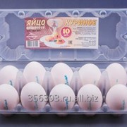 Яйцо куриное пищевое отборное СО, пластиковый бокс, 10 штук