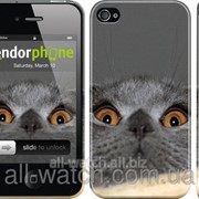 Чехол на iPhone 4 Смешной кот “2856c-15“ фотография