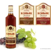 Дизайн этикетки коньяка (этикетка для коньячной продукции) фотография