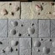 Камень искусственный имитация морскиx ракушек фото
